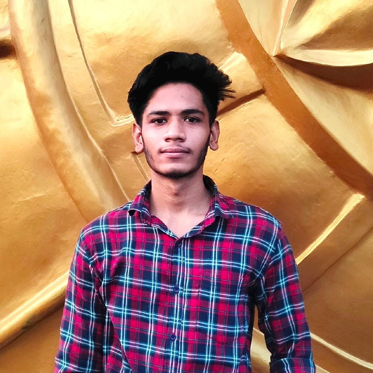 Portfolio - Manish