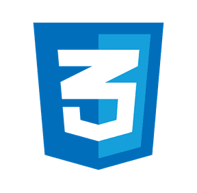 CSS Logo